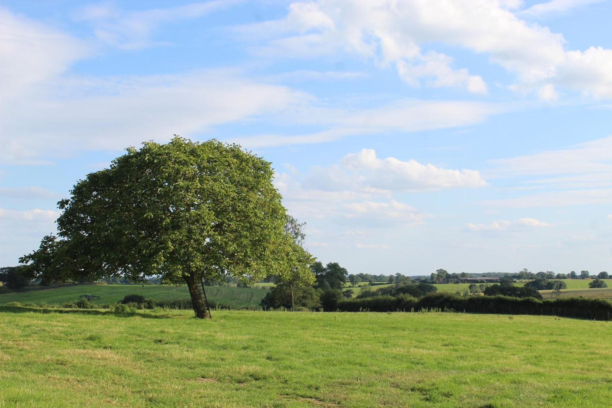 Parkfields Barns Self Catering Accommodation Buckingham Esterno foto