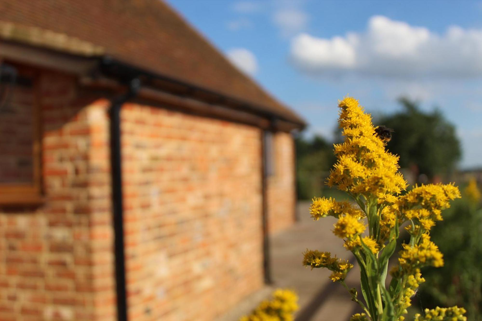 Parkfields Barns Self Catering Accommodation Buckingham Esterno foto